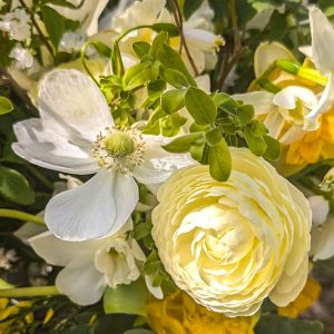 Sweetpea Macfie Chesterfield Wedding and Funeral Florist