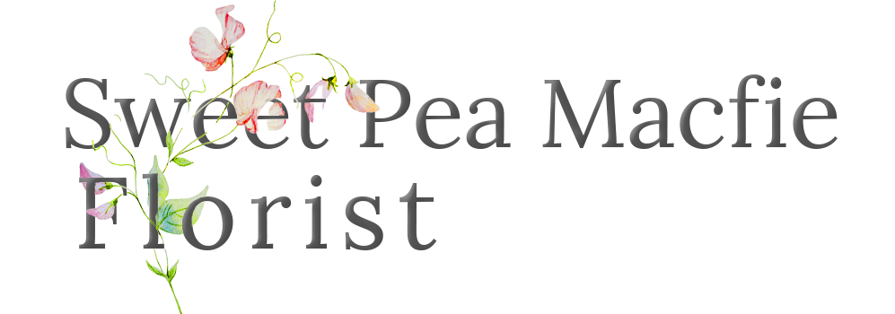 New2026 Sweetpea Macfie Chesterfield Florist