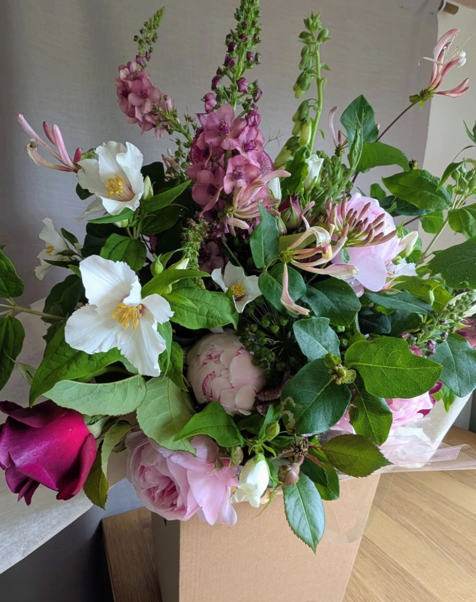 Sweetpea Macfie Chesterfield Florist The Chatsworth - Image 4