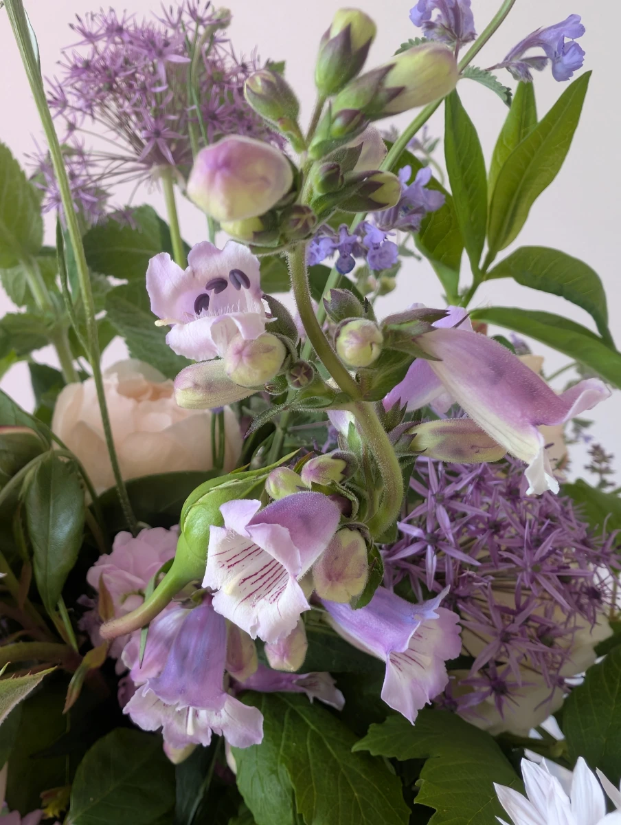 Sweetpea Macfie Chesterfield Florist The Haddon - Image 5
