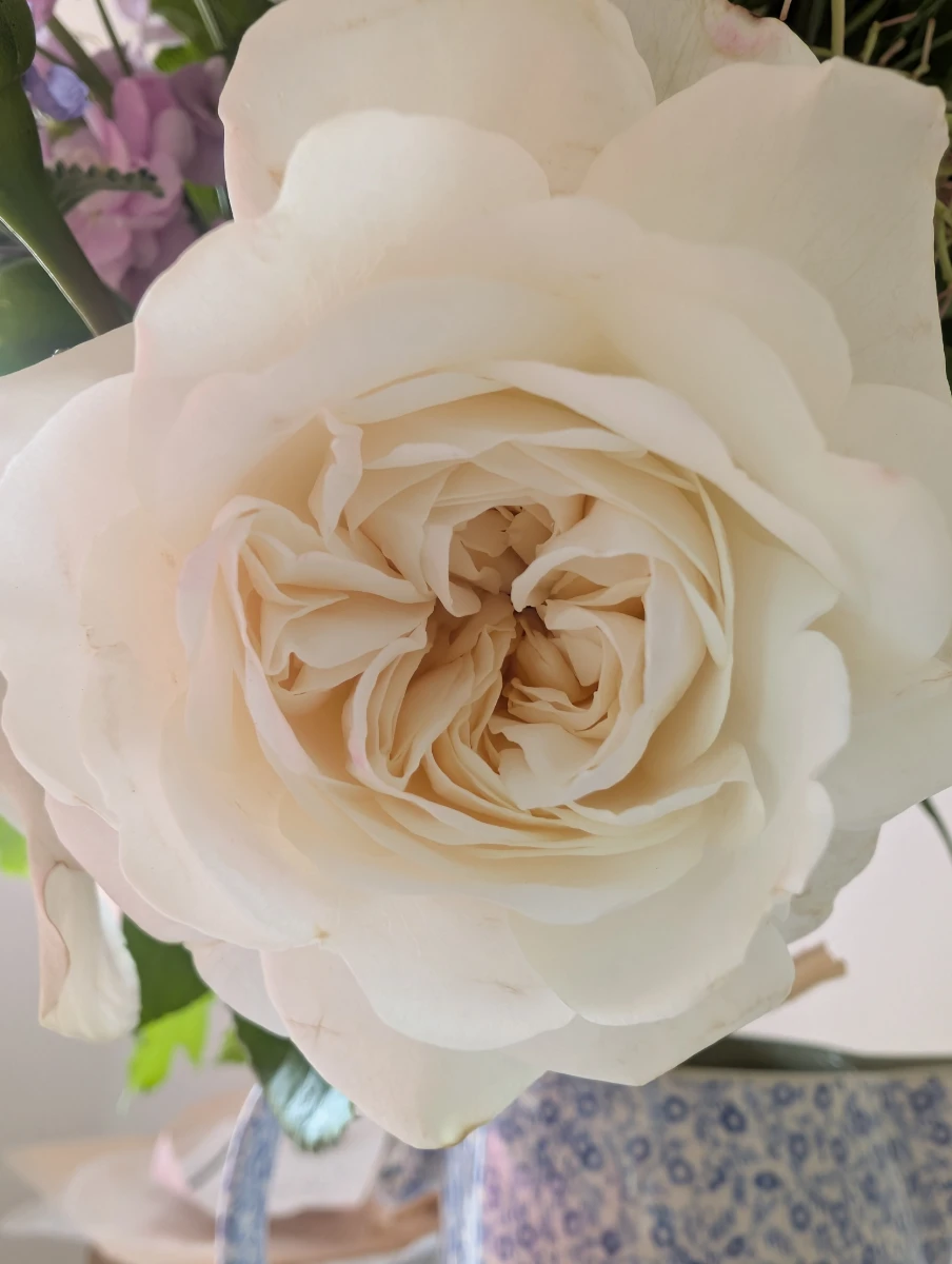 Sweetpea Macfie Chesterfield Florist The Haddon - Image 2