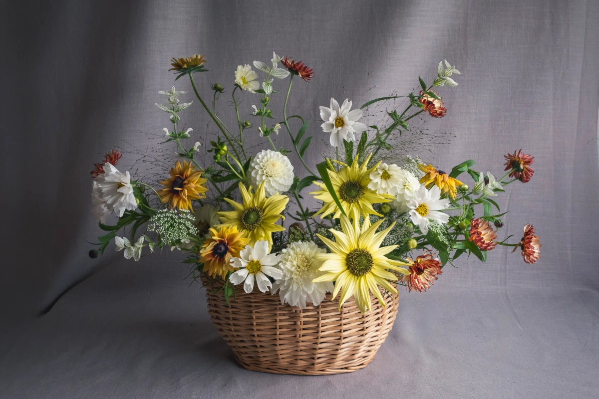 Sweetpea Macfie Chesterfield Florist The Tissington - Image 2