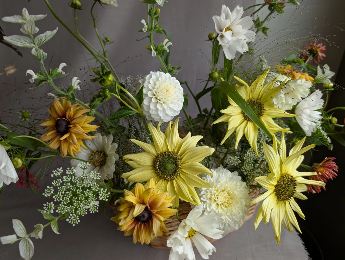 Sweetpea Macfie Chesterfield Florist The Tissington - Image 3